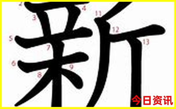 怎么报当地的旅游团