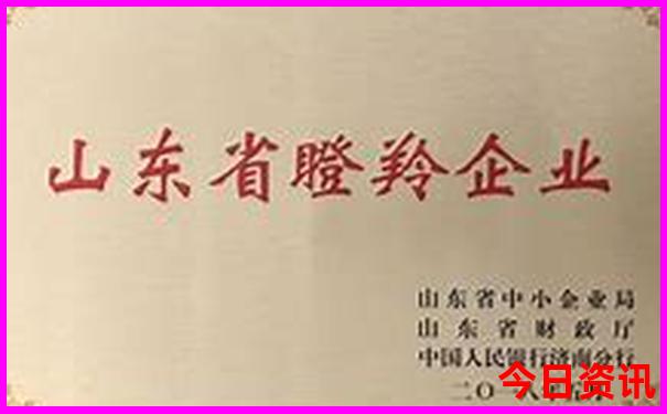 中国夏天凉快的城市有哪些地方