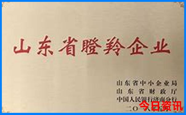 新余有什么好玩的地方旅游景点